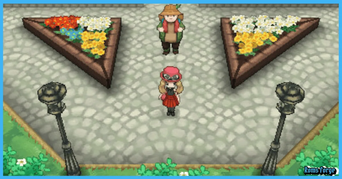 Pokemon Y ROM